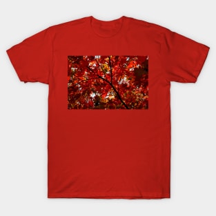 Shades Of Autumn T-Shirt